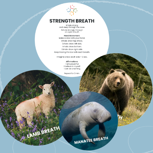 Animal Breath Cards