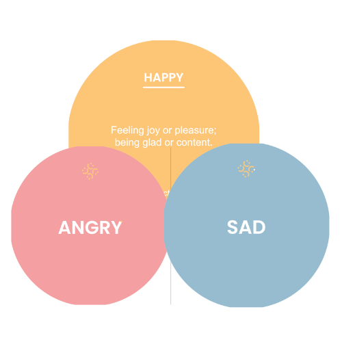 Emotion Cards (English or Spanish)